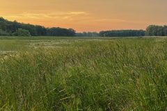 Scenic-Up-the-Creek-at-Sunrise